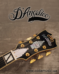Арктопи D'Angelico